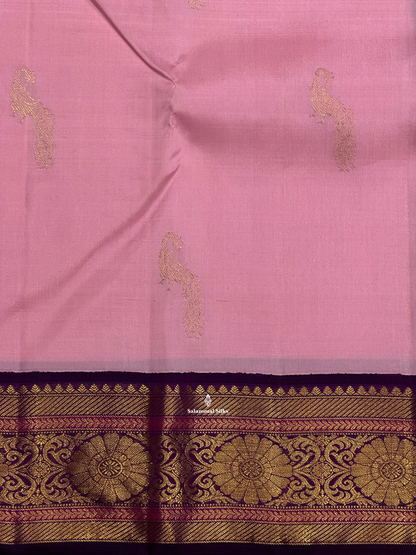 Kanjivaram Baby Pink Pure Silk Saree With Dark Violet Border