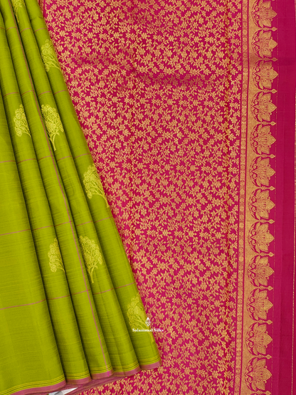 Kanjivaram Olive Green Checks Fancy Silk Saree With Rani Pink Blouse