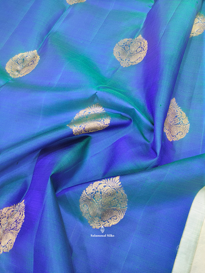 Kanjivaram Korvai Peacock Blue Beautiful Pure Silk Saree With Half White Border