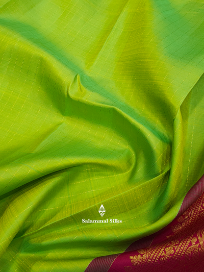 Kanjivaram Parrot Green Pure Silk Saree WithOut Border