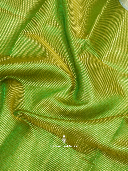 Golden Green Actor Nayanthara Inspired Beautiful Premium Fancy Saree