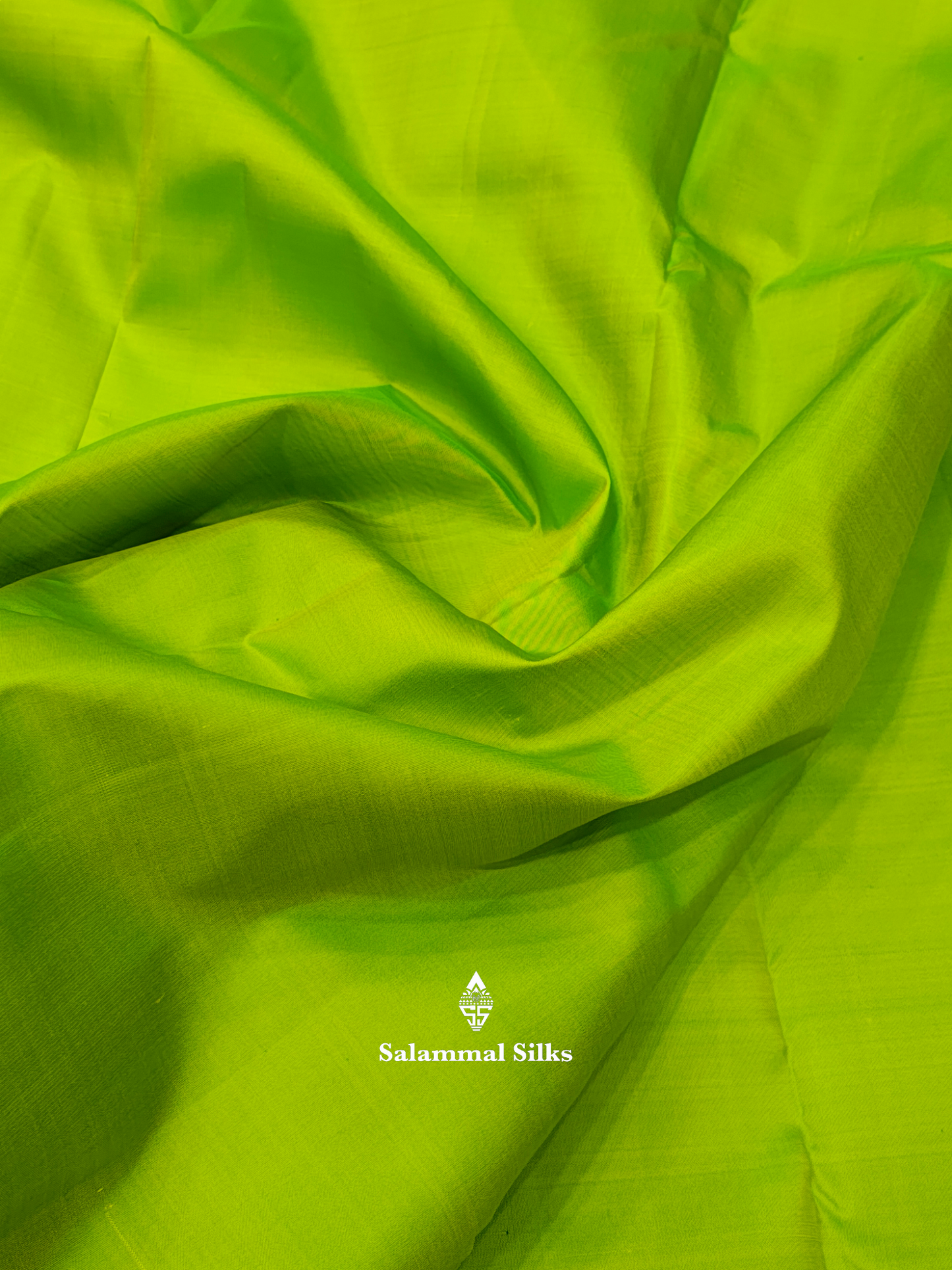 Kanjivaram Beautiful Parrot Green 9Yards Pure Silk Saree With 5inch Violet Border