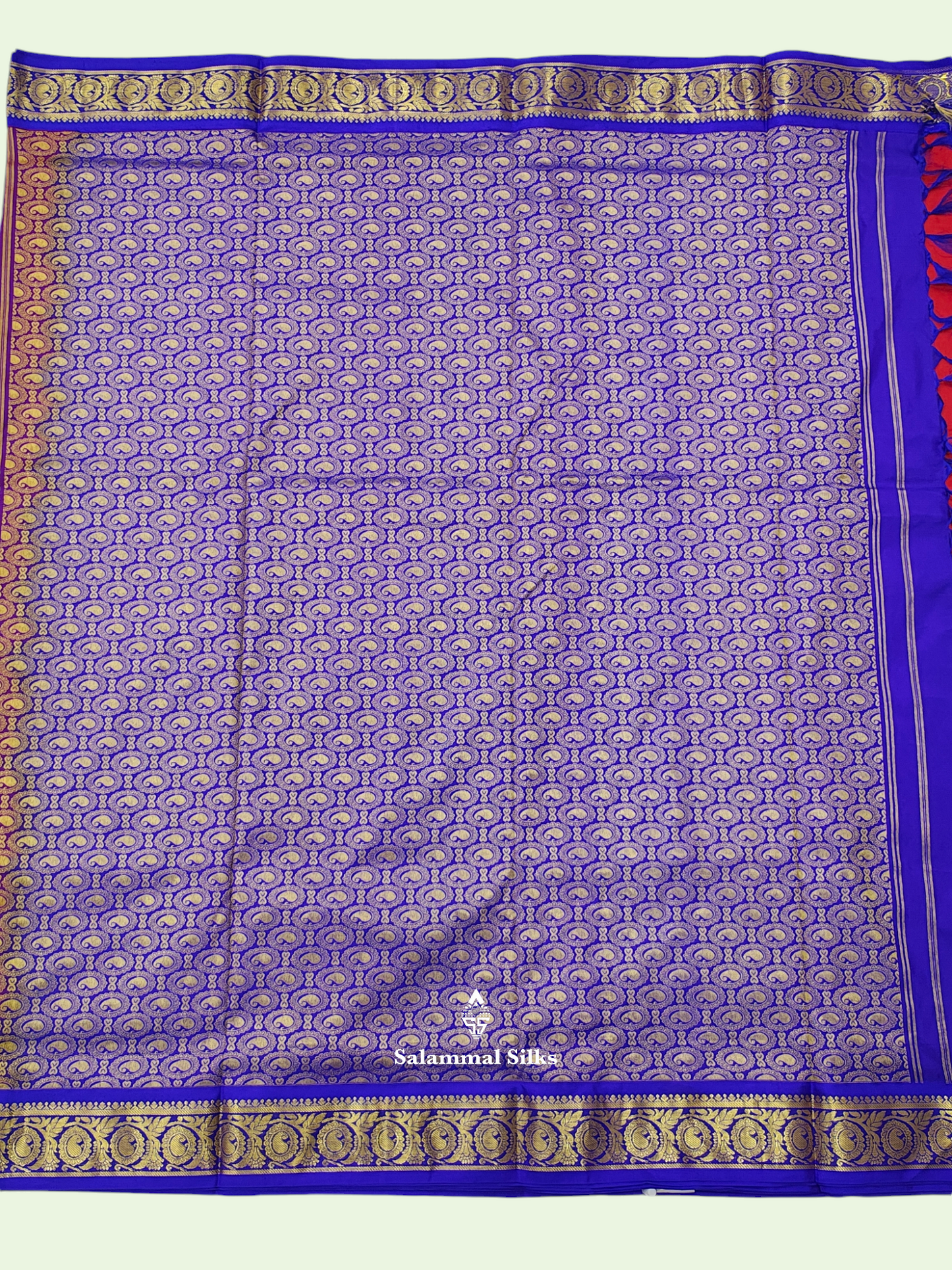 Kanjivaram Beautiful Red 9Yards Pure Silk Saree With 5inch Royal Blue Border