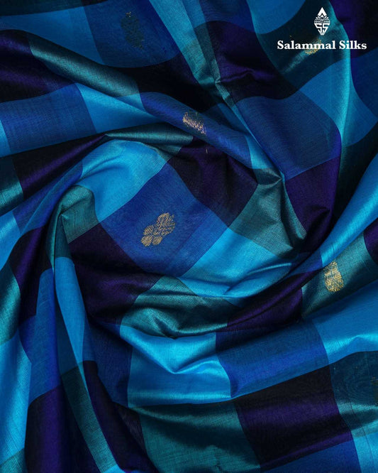 Palum Pazam Checks Kanjivaram Pure Silk Cotton With Sky Blue Border