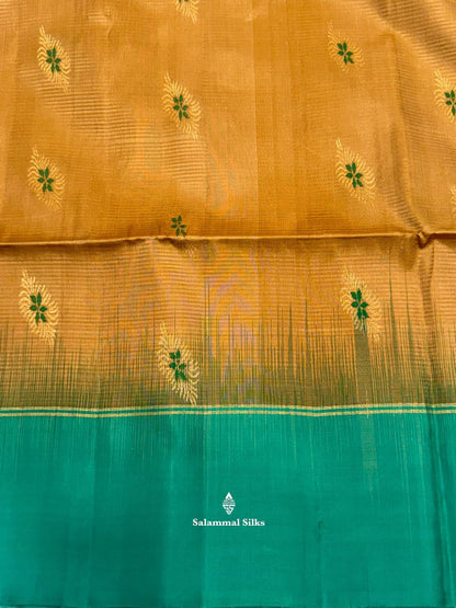 Sandal Soft Silk Saree With Sapphire Green Border