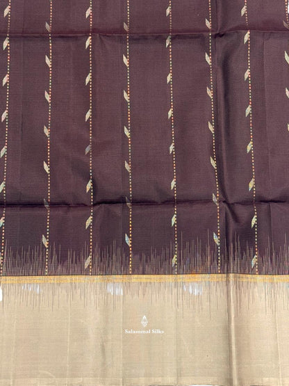 Brown Soft Silk Saree With Half White Border