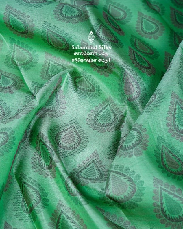 Pista Green Kanjivaram Silk Saree.